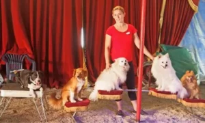 Zirkus Rogall -Celine-Michelle Rogall mit ihren Hunden, 2023