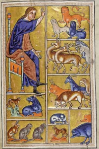 Ein spitzähnlicher Hund in einem Bestiarium des Hochmittelalters.
Quelle: Aberdeen-Bestiary, 13. Jh.)…Darstellung Adam gibt den Tieren ihren Namen – fol.5r