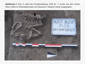Eisenzeitliche Hundebestattung in Alaybeyi Höyük