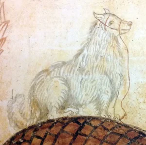 Kleiner Hund mit Beißkorb sitzt auf dem Packsattel eines Pferdes. Linke Seitenwand eines Kammergrabes in der Nekropole von Spinazzo, 4. bis 3. Jh. v. Chr., Italien - vergrößerter Ausschnitt