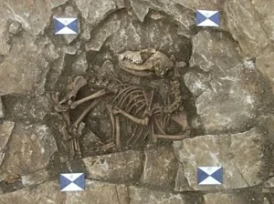 Auffindesituation der Hundeknochen von Cirencester
Corinium Museum