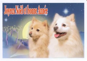 Weihnachtskarte 2005