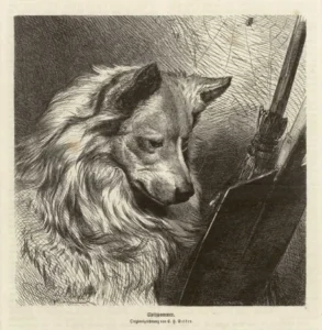 Deiker, Carl Friedrich (1836 - 1892) JJJJ