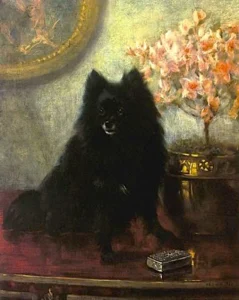 Fairman, Frances C. (1836 – 1923),1898 Seated Pomeranian