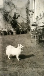Familienalbum Joaquin Turina ( 1882-1949), 1929 Auf der Terrasse 01