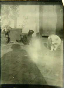 Familienalbum Joaquin Turina ( 1882-1949), 1929 Auf der Terrasse 06