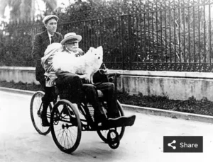 Fotoserie Flagler, Henry Flagler (1830 –1913) riding with Delos on his lap.
