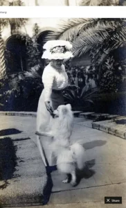 Fotoserie Flagler, Mary Lily Flagler playing with Delos.