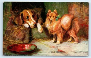 Postkarte Foxhound and Toy Pomeranian, nach einem Gemälde von Philip E. Stretto. Verlag Raphael Tuck & Söhne