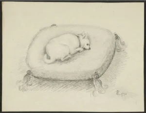 1791 Lysons, Samuel  Dog lying on a cushion. Pencil drawing. John Rylands Library, University of Manchester Library  02