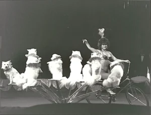 1988 Köln - Russischer Zirkus, Dompteuse mit Hunden, Foto Frank Schütte