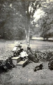 Dorothy Drew, Enkelin von Mr. und Mrs. Gladstone) mit ,,Petz'' und ,,Fuzzy'', Hawarden Dogs