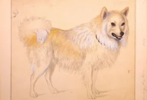 Zeller von Zellenberg, Franz (1805–1876) 1850–1875 Ein Aquarell